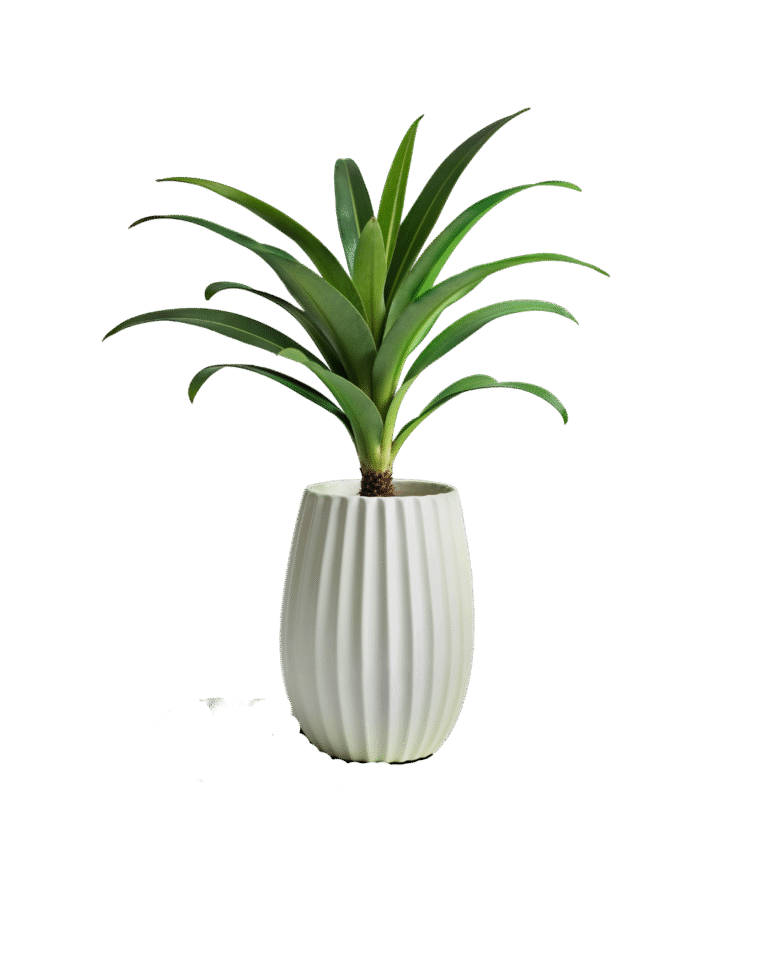 Untitled design (20)